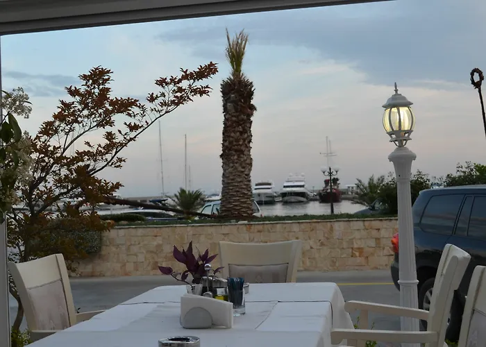 Vila On The Black Sea *