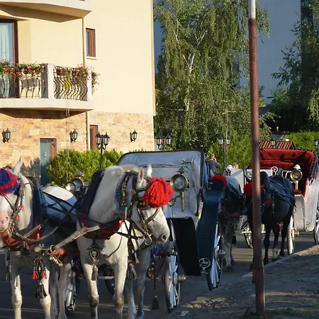 On The Black Sea サニービーチ