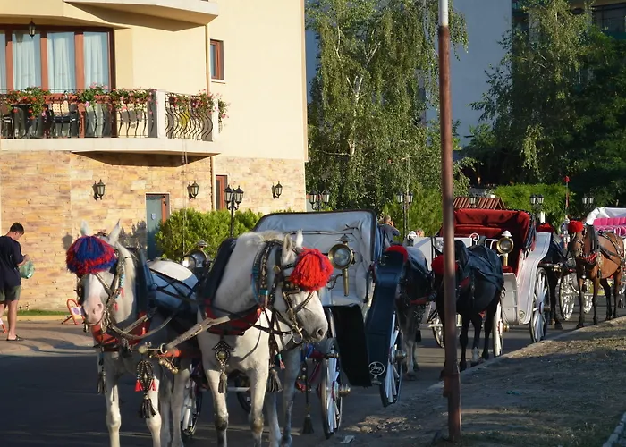 On The Black Sea Sunny Beach